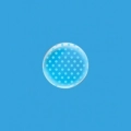 Palloncini Deco B-Loon 10" Pois  Stampa Celeste  10" (25cm), 5pz.