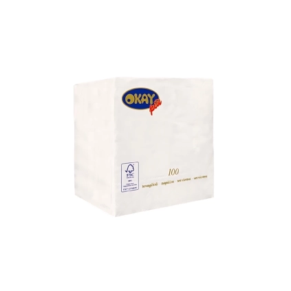 Tovaglioli Bianchi 25x25cm 2 veli, 100pz.