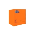 Tovaglioli Arancione 25x25cm 2 veli, 100pz.