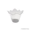 Coppette coppette Waterlily trasparenti 70cc, 25pz.