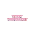 Festone bandierine Happy Birthday Barbie, 1pz.