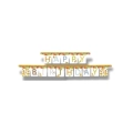 Festone bandierine Happy Jungle, 1pz.