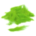 Piume Verde Lime, Lime Green Feathers, 100pz.