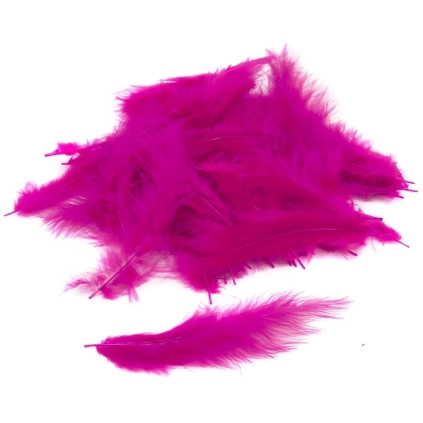Piume Fuxia, Fuxia Feathers, 100pz.