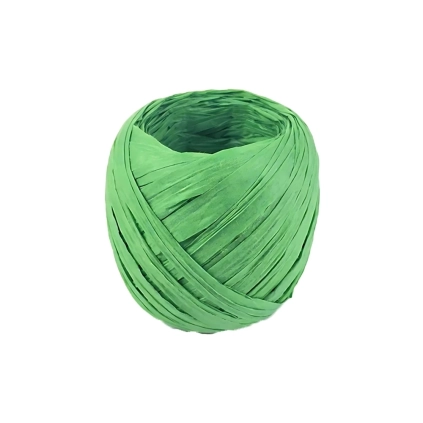 Nastrino Biodegradabile in Carta Verde 20mt, 1pz.