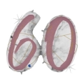 Palloncino numero 60 Marmorizzato Rosa Gold mega shape 43" (109cm) in mylar, 1pz.