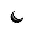 Palloncini Luna Nera mini shape 9" (22cm) in mylar, 5pz.