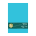 Tovaglia in Plastica Turchese 137x274cm – monouso 1pz