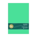 Tovaglia in plastica 137x274cm Verde – monouso 1pz