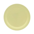 Piatti in carta Mostarda 24cm – Confezione da 15 pezzi