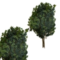 Foglie artificiali di edera verde, 12pz.