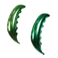 Palme