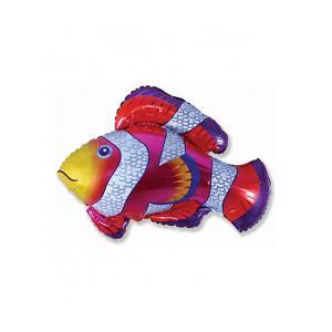 Palloncino  pesce pagliaccio 32"-81cm. 1pz