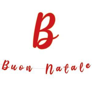 Festone buon natale scritta italic 300cm, 1pz.